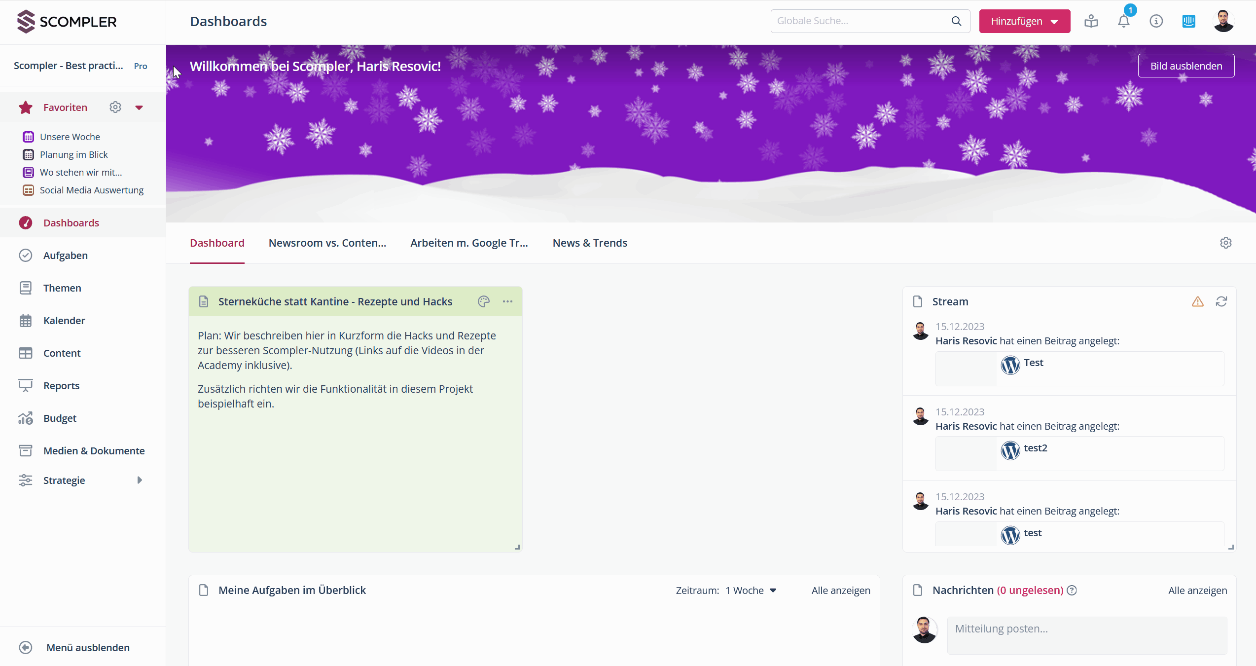 23_Ansichten.Bereiche.Tabs ausblenden GIF