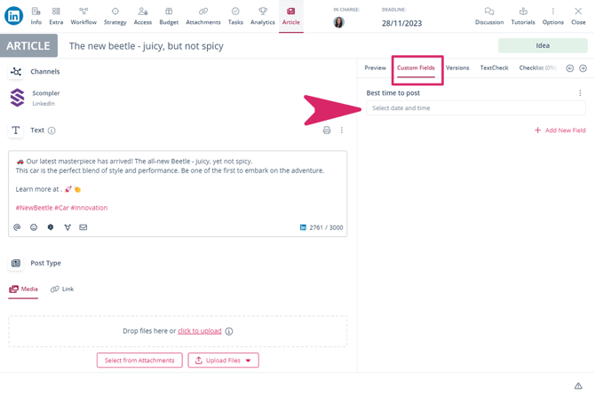 1_Custom Fields_Beitrag_EN