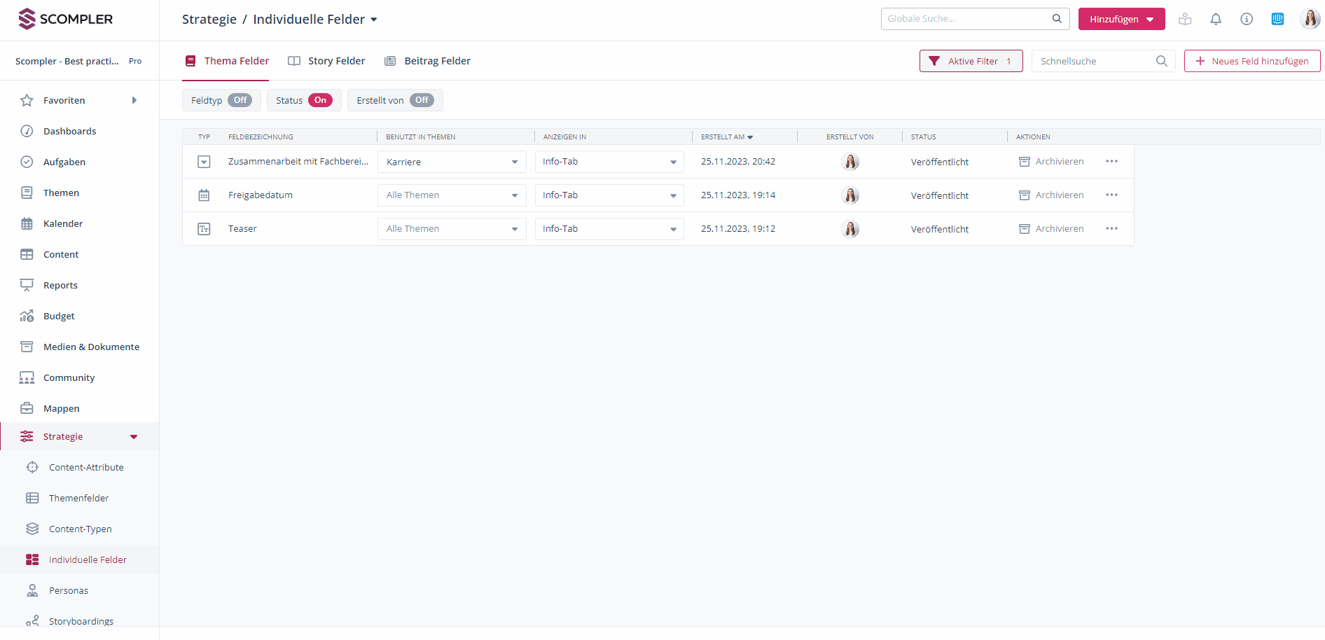 5_Custom Fields_CT verknüpfen_DE