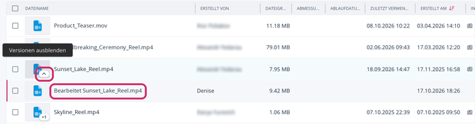 Media_Editor_Versions_DE