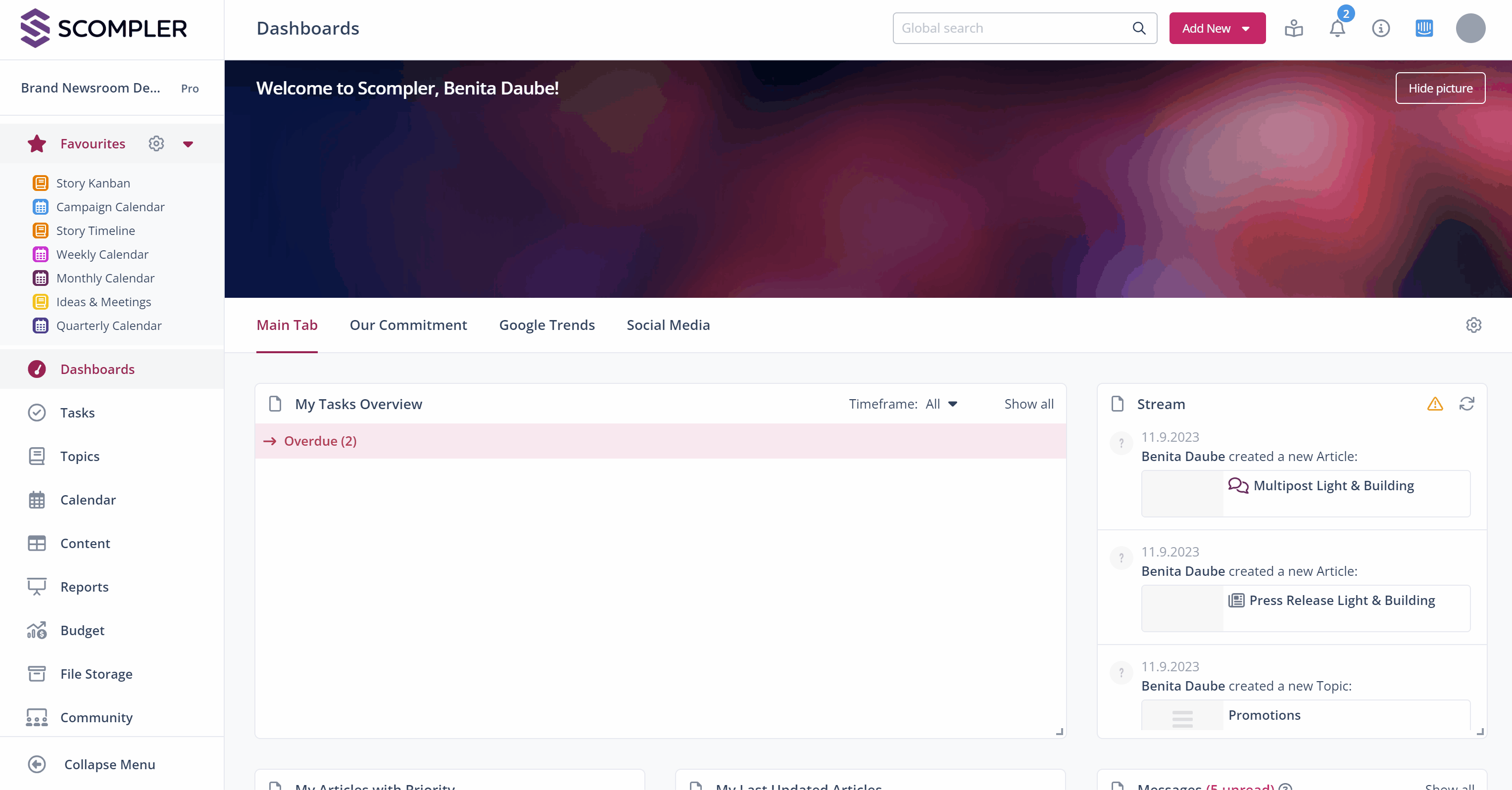 1_Budget Reports_Aufrufen Budgetbereich_EN